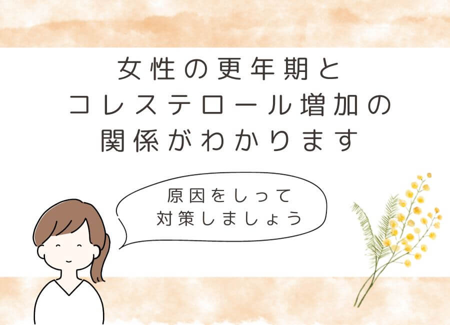 女性の更年期とコレステロール増加の関係がわかります