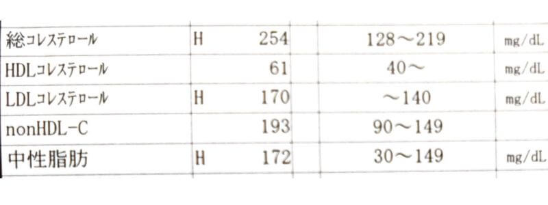 血液検査　脂質2023年3月