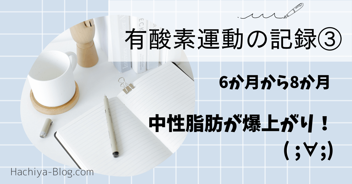 有酸素運動の記録③　6か月から8カ月